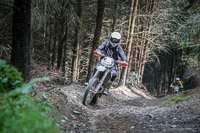 enduro-digital-images;enduro-photos;eventdigitalimages;llandrindod-wells;no-limits-trackdays;peter-wileman-photography;trackday-digital-images;wales;welsh-2-day-enduro