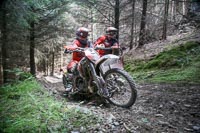 enduro-digital-images;enduro-photos;eventdigitalimages;llandrindod-wells;no-limits-trackdays;peter-wileman-photography;trackday-digital-images;wales;welsh-2-day-enduro