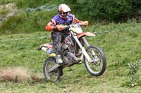 enduro-digital-images;enduro-photos;eventdigitalimages;llandrindod-wells;no-limits-trackdays;peter-wileman-photography;trackday-digital-images;wales;welsh-2-day-enduro