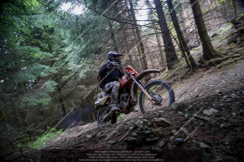 enduro digital images;enduro photos;eventdigitalimages;llandrindod wells;no limits trackdays;peter wileman photography;trackday digital images;wales;welsh 2 day enduro