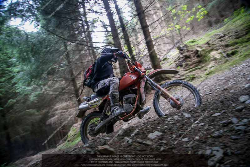 enduro digital images;enduro photos;eventdigitalimages;llandrindod wells;no limits trackdays;peter wileman photography;trackday digital images;wales;welsh 2 day enduro