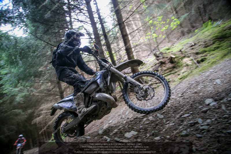 enduro digital images;enduro photos;eventdigitalimages;llandrindod wells;no limits trackdays;peter wileman photography;trackday digital images;wales;welsh 2 day enduro