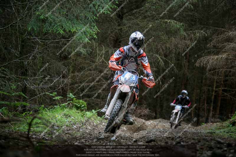 enduro digital images;enduro photos;eventdigitalimages;llandrindod wells;no limits trackdays;peter wileman photography;trackday digital images;wales;welsh 2 day enduro