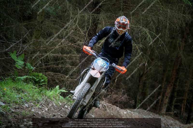 enduro digital images;enduro photos;eventdigitalimages;llandrindod wells;no limits trackdays;peter wileman photography;trackday digital images;wales;welsh 2 day enduro