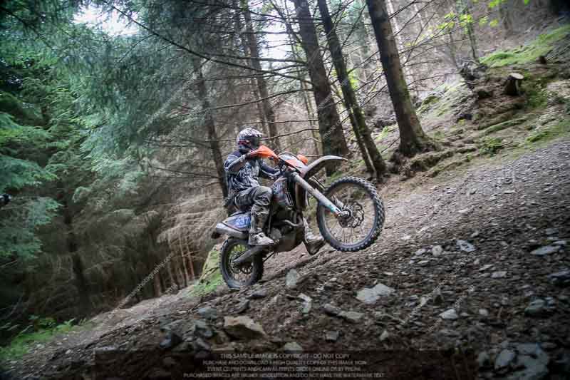 enduro digital images;enduro photos;eventdigitalimages;llandrindod wells;no limits trackdays;peter wileman photography;trackday digital images;wales;welsh 2 day enduro
