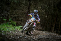 enduro-digital-images;enduro-photos;eventdigitalimages;llandrindod-wells;no-limits-trackdays;peter-wileman-photography;trackday-digital-images;wales;welsh-2-day-enduro