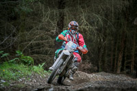 enduro-digital-images;enduro-photos;eventdigitalimages;llandrindod-wells;no-limits-trackdays;peter-wileman-photography;trackday-digital-images;wales;welsh-2-day-enduro