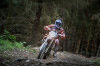 enduro-digital-images;enduro-photos;eventdigitalimages;llandrindod-wells;no-limits-trackdays;peter-wileman-photography;trackday-digital-images;wales;welsh-2-day-enduro