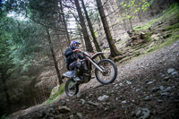 enduro-digital-images;enduro-photos;eventdigitalimages;llandrindod-wells;no-limits-trackdays;peter-wileman-photography;trackday-digital-images;wales;welsh-2-day-enduro