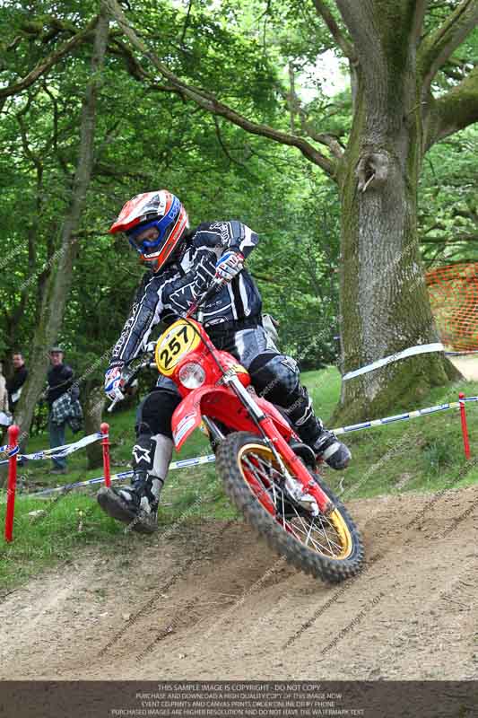 enduro digital images;enduro photos;eventdigitalimages;llandrindod wells;no limits trackdays;peter wileman photography;trackday digital images;wales;welsh 2 day enduro