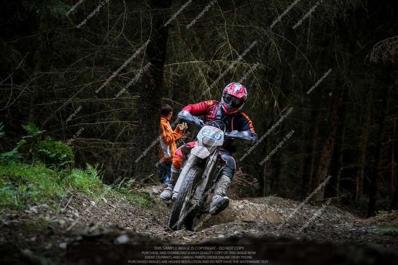 enduro digital images;enduro photos;eventdigitalimages;llandrindod wells;no limits trackdays;peter wileman photography;trackday digital images;wales;welsh 2 day enduro