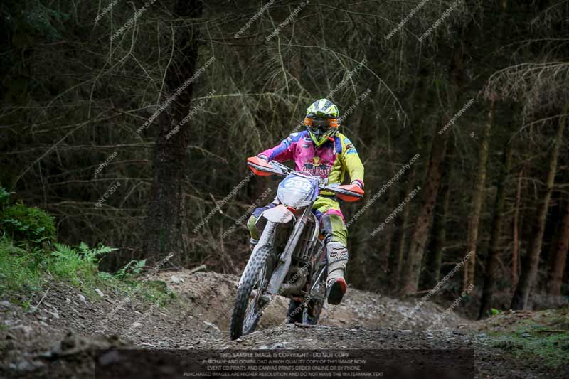 enduro digital images;enduro photos;eventdigitalimages;llandrindod wells;no limits trackdays;peter wileman photography;trackday digital images;wales;welsh 2 day enduro