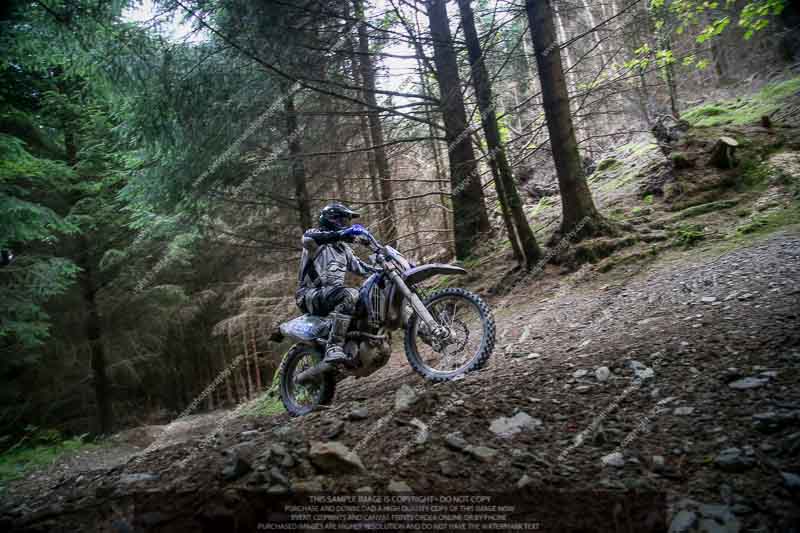 enduro digital images;enduro photos;eventdigitalimages;llandrindod wells;no limits trackdays;peter wileman photography;trackday digital images;wales;welsh 2 day enduro