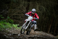 enduro-digital-images;enduro-photos;eventdigitalimages;llandrindod-wells;no-limits-trackdays;peter-wileman-photography;trackday-digital-images;wales;welsh-2-day-enduro