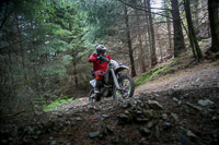 enduro-digital-images;enduro-photos;eventdigitalimages;llandrindod-wells;no-limits-trackdays;peter-wileman-photography;trackday-digital-images;wales;welsh-2-day-enduro