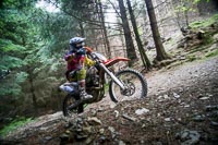 enduro-digital-images;enduro-photos;eventdigitalimages;llandrindod-wells;no-limits-trackdays;peter-wileman-photography;trackday-digital-images;wales;welsh-2-day-enduro