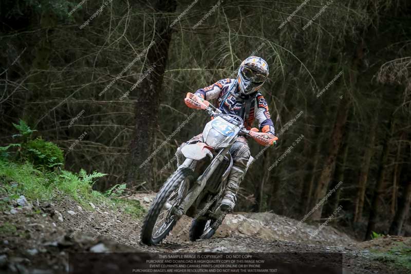 enduro digital images;enduro photos;eventdigitalimages;llandrindod wells;no limits trackdays;peter wileman photography;trackday digital images;wales;welsh 2 day enduro