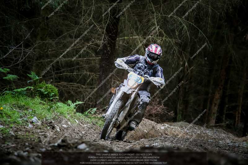 enduro digital images;enduro photos;eventdigitalimages;llandrindod wells;no limits trackdays;peter wileman photography;trackday digital images;wales;welsh 2 day enduro