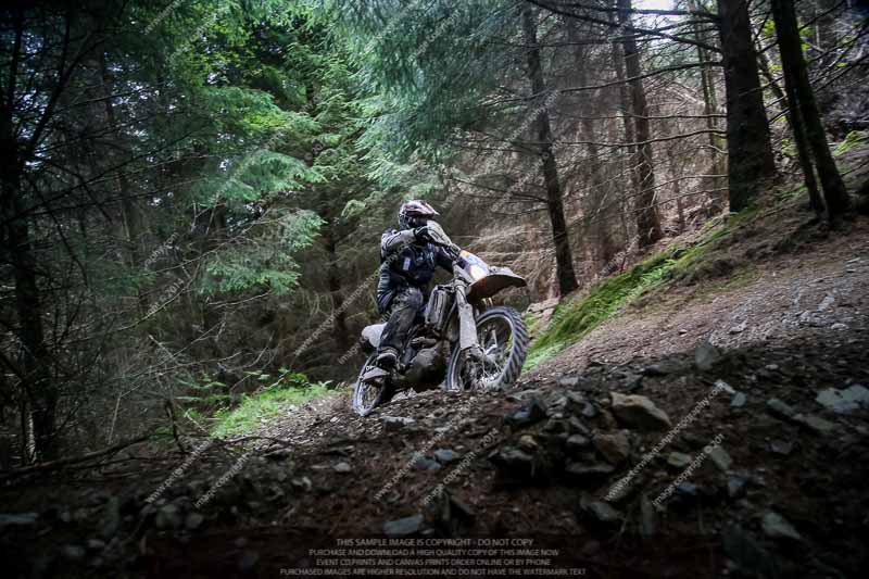 enduro digital images;enduro photos;eventdigitalimages;llandrindod wells;no limits trackdays;peter wileman photography;trackday digital images;wales;welsh 2 day enduro