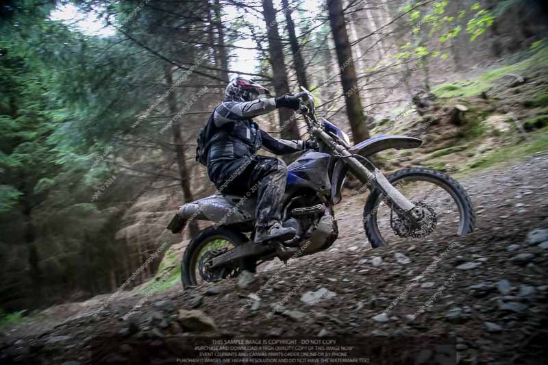 enduro digital images;enduro photos;eventdigitalimages;llandrindod wells;no limits trackdays;peter wileman photography;trackday digital images;wales;welsh 2 day enduro