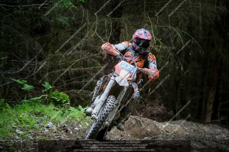 enduro digital images;enduro photos;eventdigitalimages;llandrindod wells;no limits trackdays;peter wileman photography;trackday digital images;wales;welsh 2 day enduro