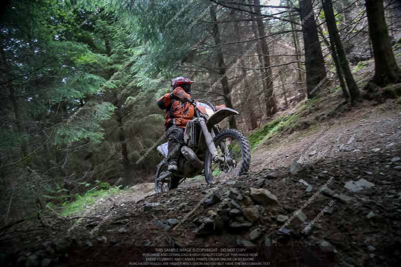 enduro digital images;enduro photos;eventdigitalimages;llandrindod wells;no limits trackdays;peter wileman photography;trackday digital images;wales;welsh 2 day enduro