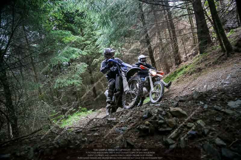 enduro digital images;enduro photos;eventdigitalimages;llandrindod wells;no limits trackdays;peter wileman photography;trackday digital images;wales;welsh 2 day enduro