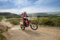 enduro-digital-images;enduro-photos;eventdigitalimages;llandrindod-wells;no-limits-trackdays;peter-wileman-photography;trackday-digital-images;wales;welsh-2-day-enduro