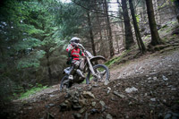 enduro-digital-images;enduro-photos;eventdigitalimages;llandrindod-wells;no-limits-trackdays;peter-wileman-photography;trackday-digital-images;wales;welsh-2-day-enduro