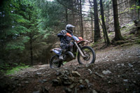 enduro-digital-images;enduro-photos;eventdigitalimages;llandrindod-wells;no-limits-trackdays;peter-wileman-photography;trackday-digital-images;wales;welsh-2-day-enduro