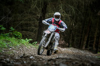 enduro-digital-images;enduro-photos;eventdigitalimages;llandrindod-wells;no-limits-trackdays;peter-wileman-photography;trackday-digital-images;wales;welsh-2-day-enduro