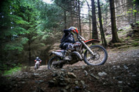 enduro-digital-images;enduro-photos;eventdigitalimages;llandrindod-wells;no-limits-trackdays;peter-wileman-photography;trackday-digital-images;wales;welsh-2-day-enduro