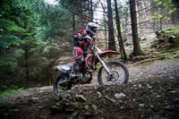 enduro-digital-images;enduro-photos;eventdigitalimages;llandrindod-wells;no-limits-trackdays;peter-wileman-photography;trackday-digital-images;wales;welsh-2-day-enduro