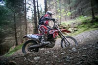 enduro-digital-images;enduro-photos;eventdigitalimages;llandrindod-wells;no-limits-trackdays;peter-wileman-photography;trackday-digital-images;wales;welsh-2-day-enduro