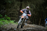 enduro-digital-images;enduro-photos;eventdigitalimages;llandrindod-wells;no-limits-trackdays;peter-wileman-photography;trackday-digital-images;wales;welsh-2-day-enduro