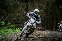 enduro-digital-images;enduro-photos;eventdigitalimages;llandrindod-wells;no-limits-trackdays;peter-wileman-photography;trackday-digital-images;wales;welsh-2-day-enduro