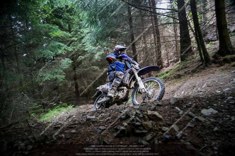 enduro digital images;enduro photos;eventdigitalimages;llandrindod wells;no limits trackdays;peter wileman photography;trackday digital images;wales;welsh 2 day enduro