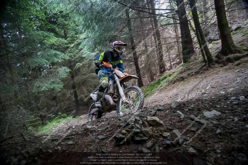 enduro digital images;enduro photos;eventdigitalimages;llandrindod wells;no limits trackdays;peter wileman photography;trackday digital images;wales;welsh 2 day enduro