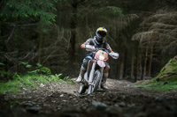 enduro-digital-images;enduro-photos;eventdigitalimages;llandrindod-wells;no-limits-trackdays;peter-wileman-photography;trackday-digital-images;wales;welsh-2-day-enduro