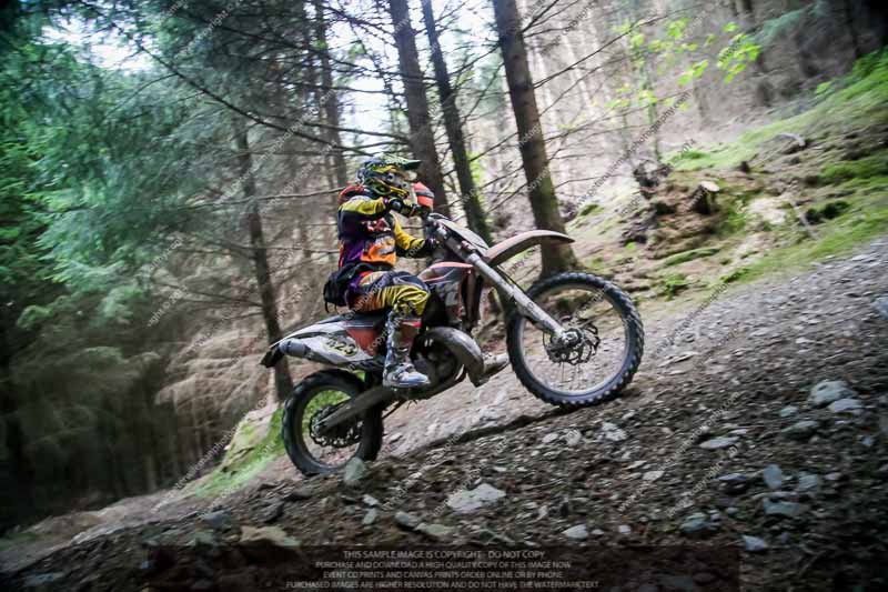 enduro digital images;enduro photos;eventdigitalimages;llandrindod wells;no limits trackdays;peter wileman photography;trackday digital images;wales;welsh 2 day enduro