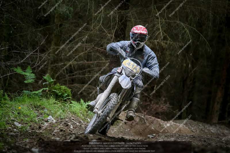 enduro digital images;enduro photos;eventdigitalimages;llandrindod wells;no limits trackdays;peter wileman photography;trackday digital images;wales;welsh 2 day enduro