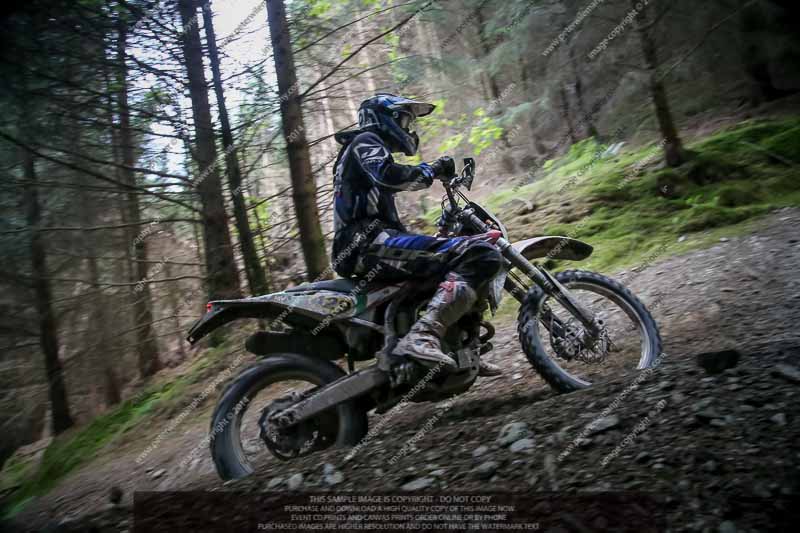 enduro digital images;enduro photos;eventdigitalimages;llandrindod wells;no limits trackdays;peter wileman photography;trackday digital images;wales;welsh 2 day enduro
