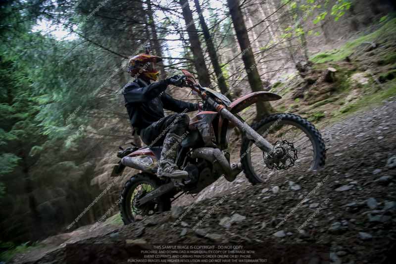 enduro digital images;enduro photos;eventdigitalimages;llandrindod wells;no limits trackdays;peter wileman photography;trackday digital images;wales;welsh 2 day enduro