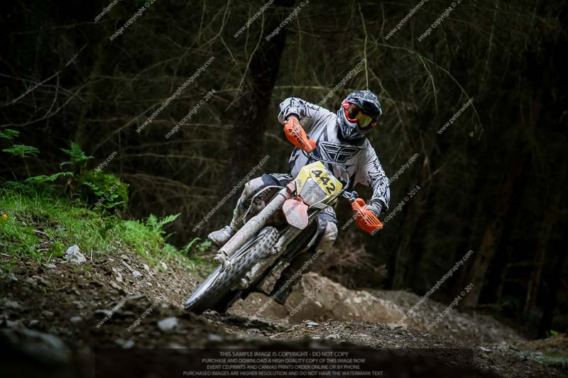 enduro digital images;enduro photos;eventdigitalimages;llandrindod wells;no limits trackdays;peter wileman photography;trackday digital images;wales;welsh 2 day enduro