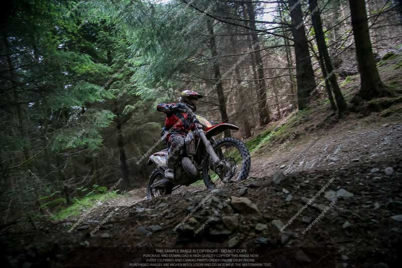 enduro digital images;enduro photos;eventdigitalimages;llandrindod wells;no limits trackdays;peter wileman photography;trackday digital images;wales;welsh 2 day enduro