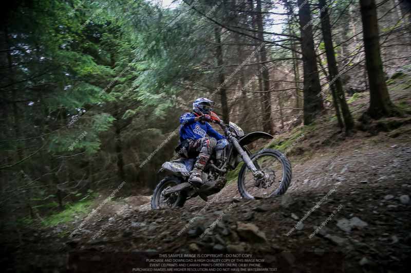 enduro digital images;enduro photos;eventdigitalimages;llandrindod wells;no limits trackdays;peter wileman photography;trackday digital images;wales;welsh 2 day enduro