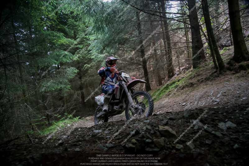 enduro digital images;enduro photos;eventdigitalimages;llandrindod wells;no limits trackdays;peter wileman photography;trackday digital images;wales;welsh 2 day enduro