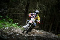 enduro-digital-images;enduro-photos;eventdigitalimages;llandrindod-wells;no-limits-trackdays;peter-wileman-photography;trackday-digital-images;wales;welsh-2-day-enduro