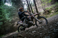 enduro-digital-images;enduro-photos;eventdigitalimages;llandrindod-wells;no-limits-trackdays;peter-wileman-photography;trackday-digital-images;wales;welsh-2-day-enduro