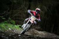 enduro-digital-images;enduro-photos;eventdigitalimages;llandrindod-wells;no-limits-trackdays;peter-wileman-photography;trackday-digital-images;wales;welsh-2-day-enduro